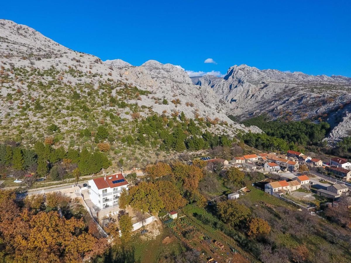 Apartmani Villa Paulo 斯塔利格拉德-帕克利尼卡 外观 照片